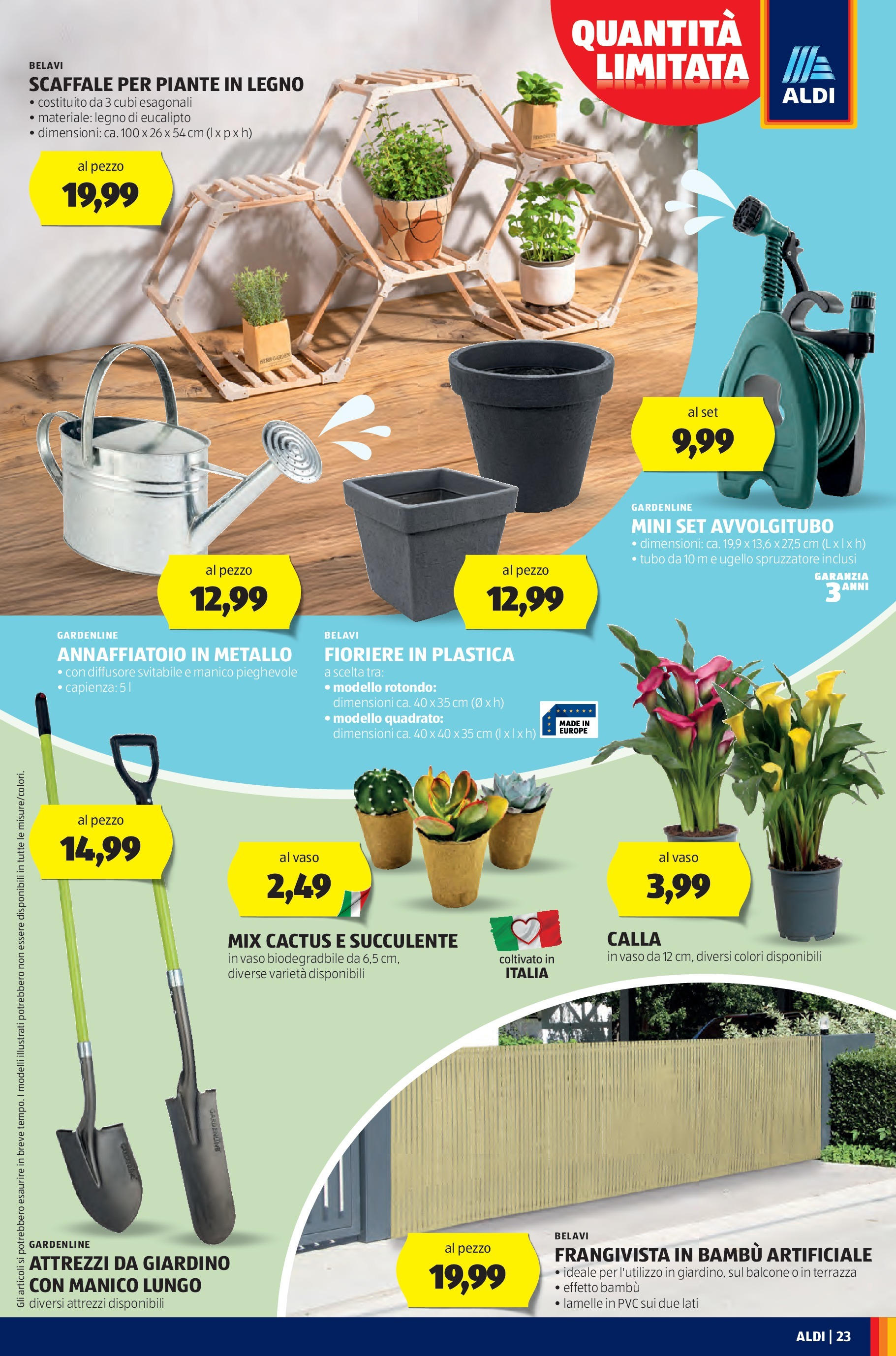 Nuovo Aldi - XXL dal 03/08/2025 > offerte anteprima 🛍️ | Pagina: 23 | Prodotti: Annaffiatoio, Tubo, Cactus, Vaso