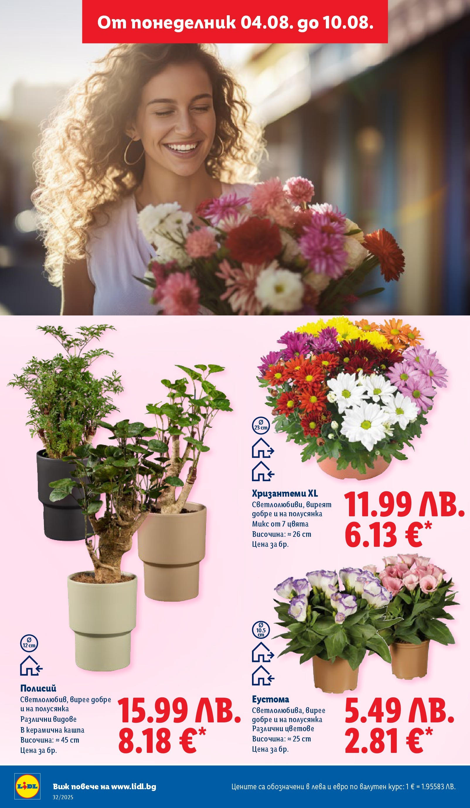 Cедмична брошура на Лидл от 04.08.2025 - LIDL broshura | Страница: 42 | Продукти: Кашпа Cедмична брошура на Лидл от 04.08.2025 | Страница: 42 | Продукти: Кашпа