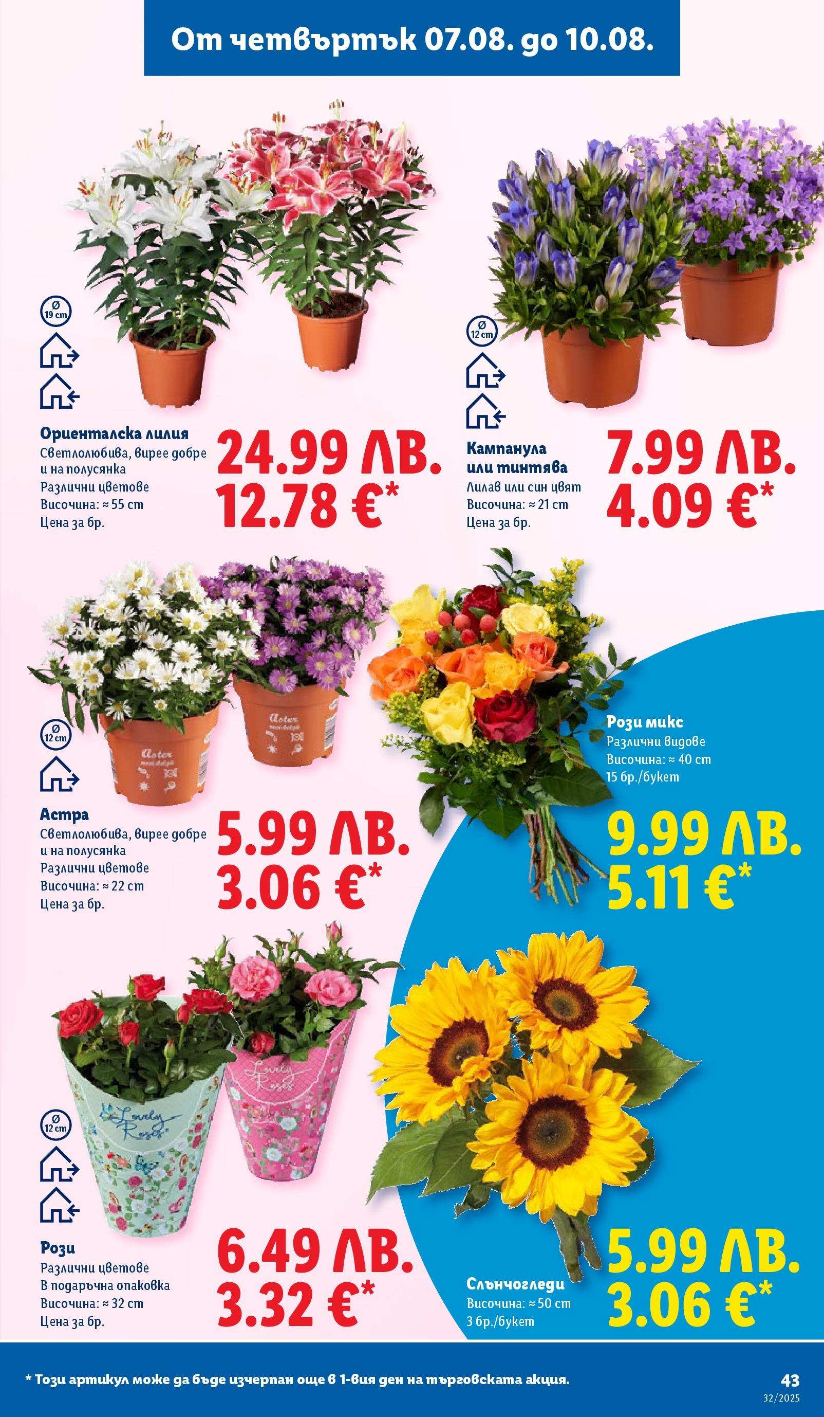 Cедмична брошура на Лидл от 04.08.2025 - LIDL broshura | Страница: 43 Cедмична брошура на Лидл от 04.08.2025 | Страница: 43
