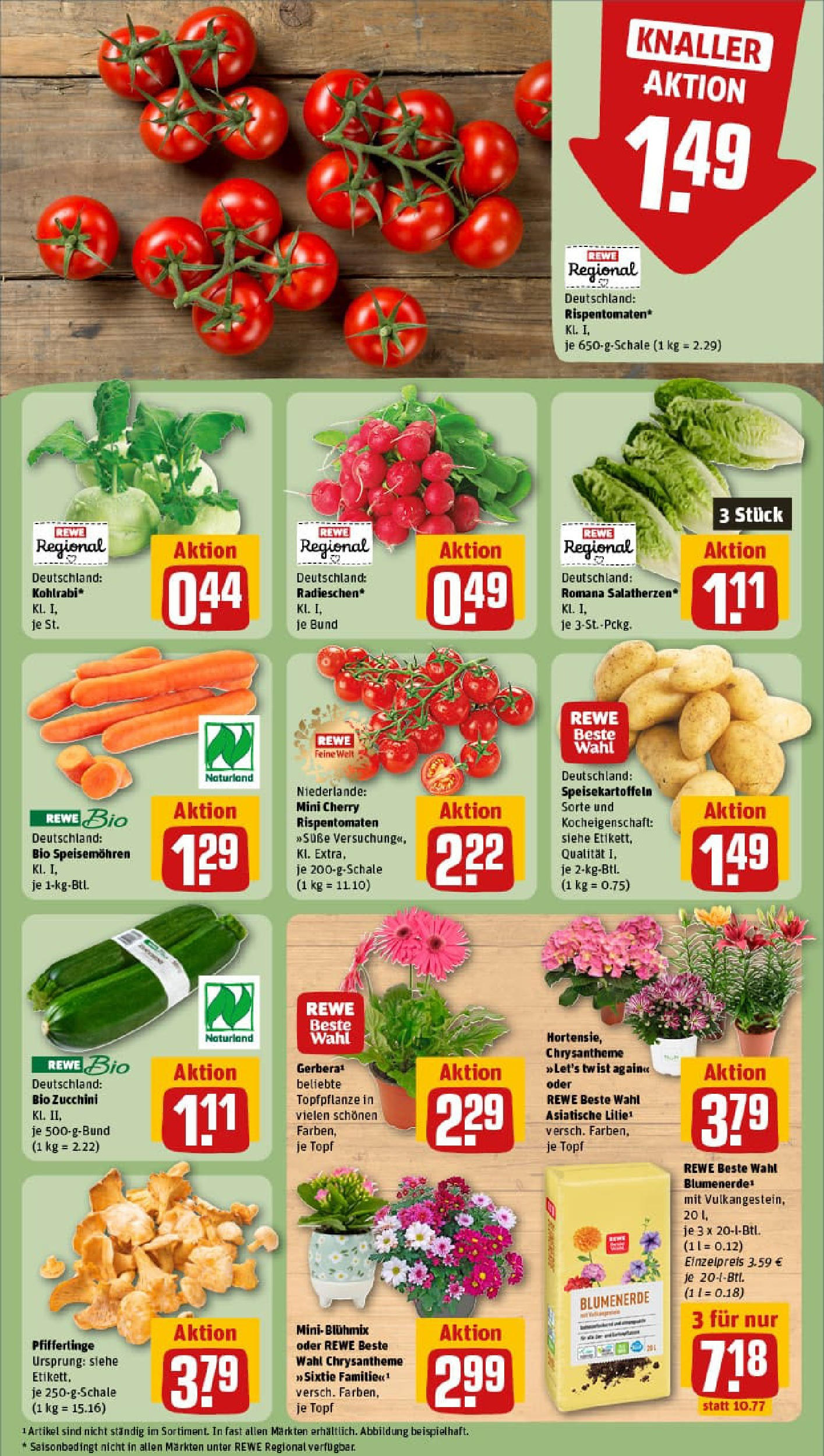REWE Prospekt ab 03.08.2025 zum Blättern » Angebote | Seite: 7 | Produkte: Kohlrabi, Blumenerde, Pfifferlinge, Zucchini REWE Prospekt ab 03.08.2025 zum Blättern » Angebote | Seite: 7 | Produkte: Kohlrabi, Blumenerde, Pfifferlinge, Zucchini