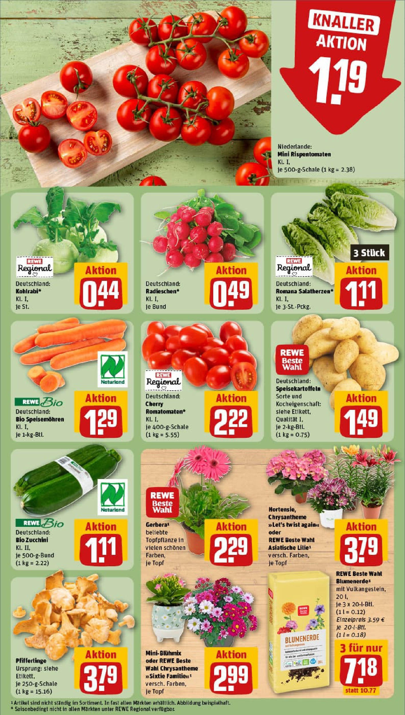 REWE Prospekt ab 03.08.2025 zum Blättern » Angebote | Seite: 7 | Produkte: Blumenerde, Pfifferlinge, Zucchini
