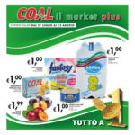 Coal Coal il market. - al 13.08.2025