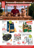 Humano + verano + animal: ¡nuestro cóctel favorito!