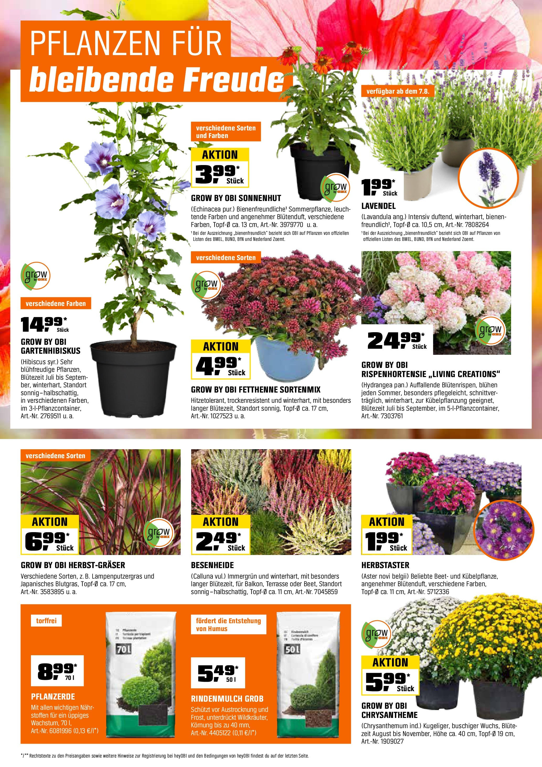 Obi Prospekt (ab 01.08.2025) zum Blättern | Seite: 7 | Produkte: Rindenmulch, Pflanzerde, Lavendel Obi Prospekt (ab 01.08.2025) zum Blättern | Seite: 7 | Produkte: Rindenmulch, Pflanzerde, Lavendel