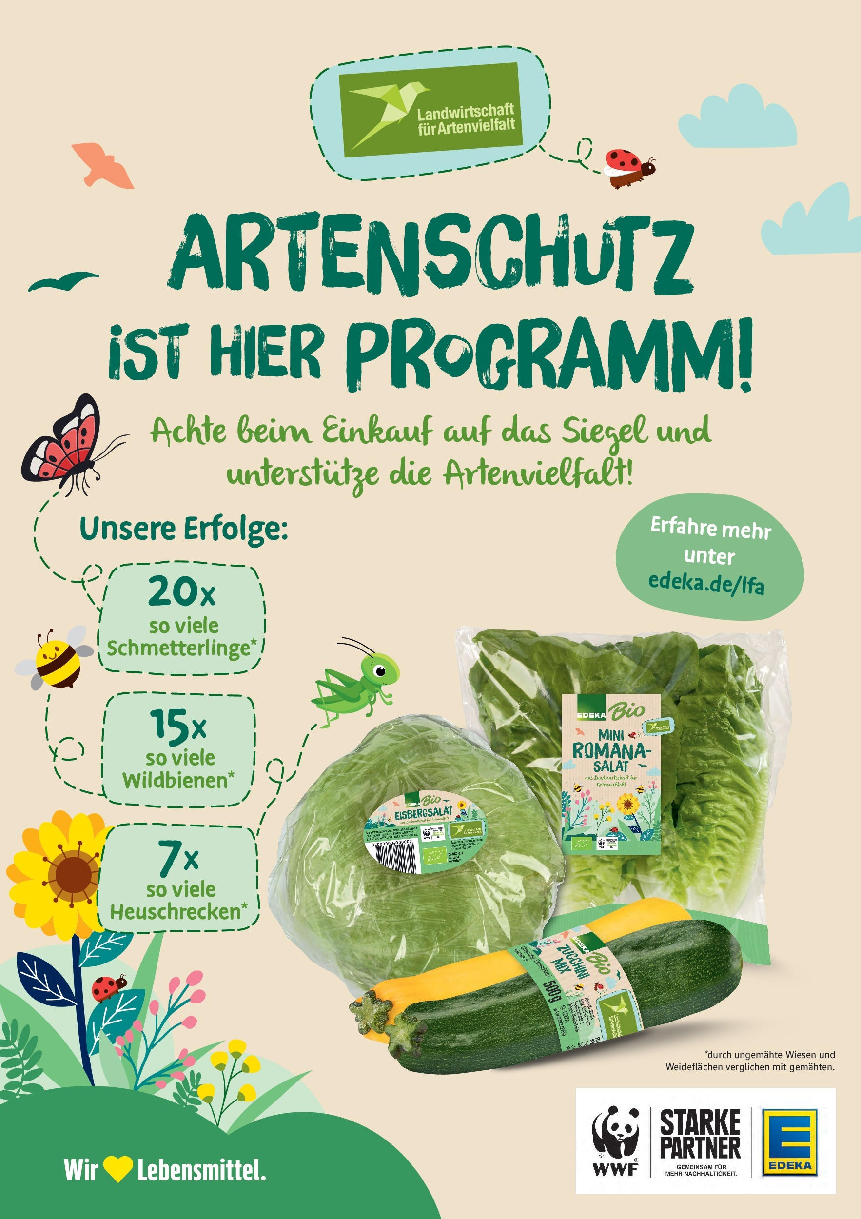 Marktkauf - Marktkauf: Wochenangebote (ab 03.08.2025) » Angebote ab Montag | Seite: 30 | Produkte: Eisbergsalat, Zucchini, Salat Marktkauf - Marktkauf: Wochenangebote (ab 03.08.2025) » Angebote online | Seite: 30 | Produkte: Eisbergsalat, Zucchini, Salat