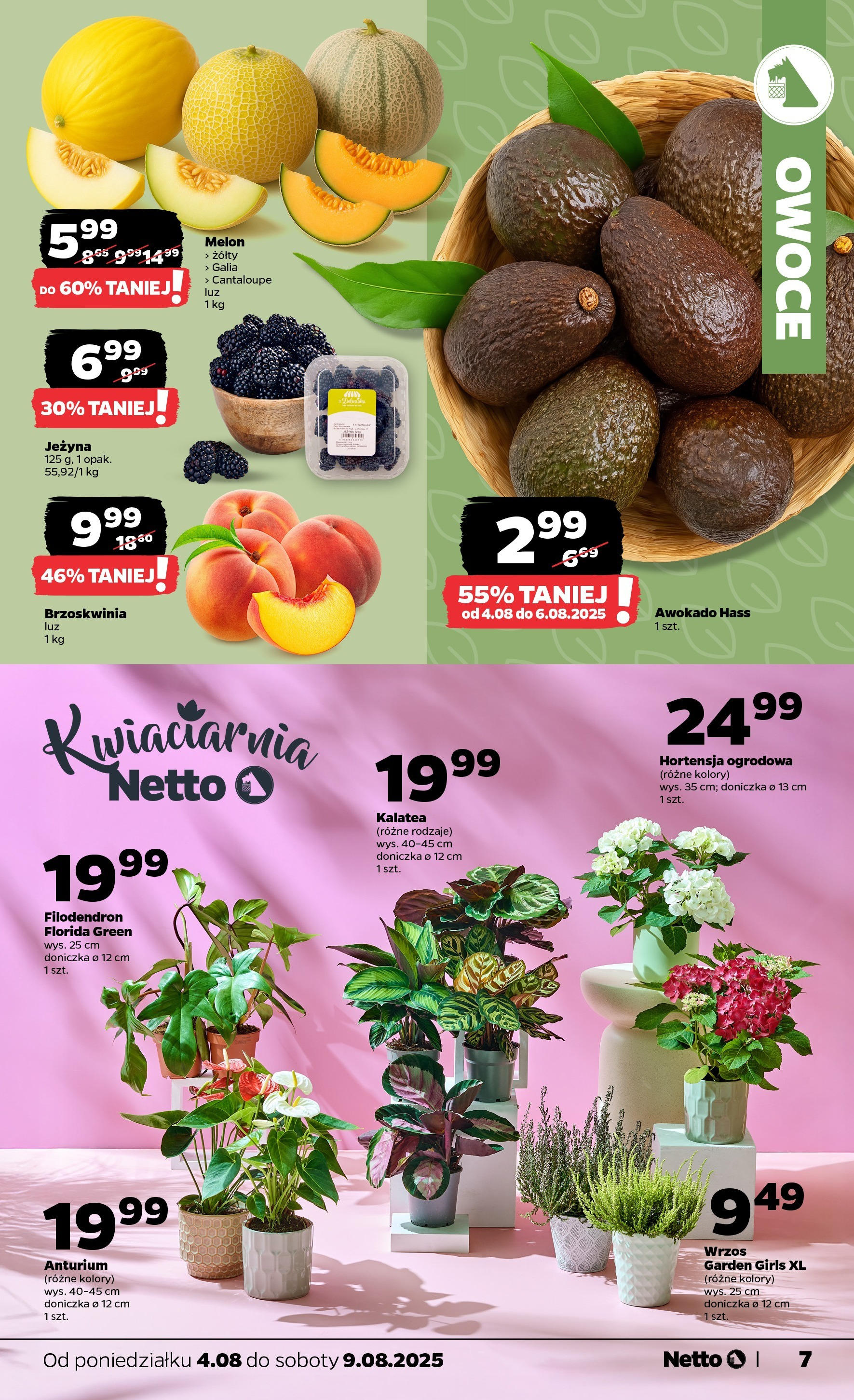 Netto gazetka od 04.08.2025 | Promocje | Strona: 7 | Produkty: Melon, Doniczka, Awokado, Owoce Netto gazetka od 04.08.2025 - Aktualne promocje | Strona: 7 | Produkty: Melon, Doniczka, Awokado, Owoce