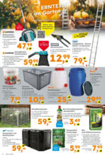 Globus Baumarkt: Wochenangebote