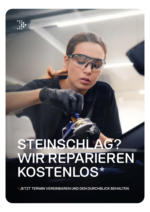 Autohaus Best: Steinschlag? Wir reparieren kostenlos