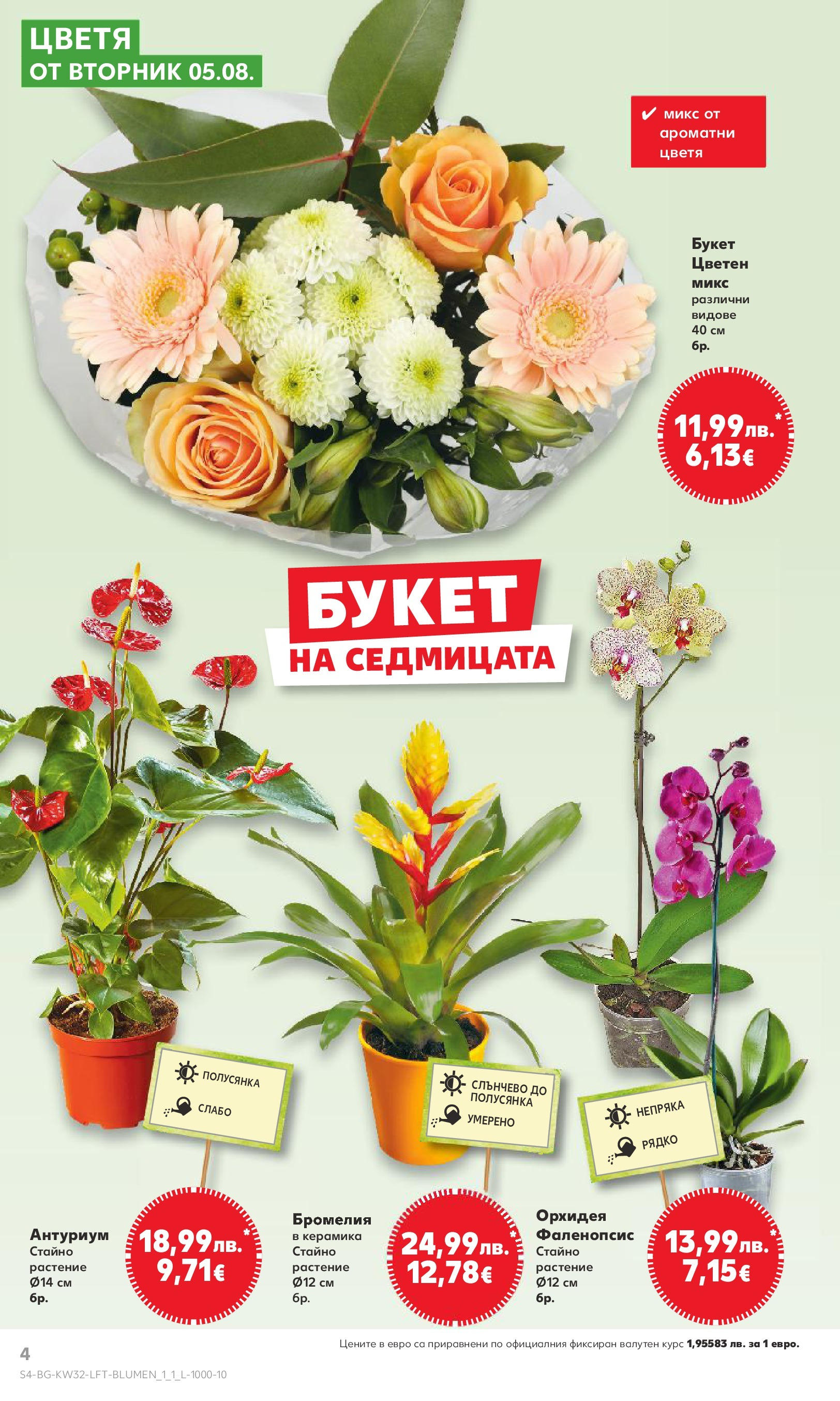 Нова Кауфланд брошура от 04.08.2025 | Страница: 4 | Продукти: Орхидея Нова Кауфланд брошура - В Kaufland цената е звездата от 04.08.2025 | Страница: 4 | Продукти: Орхидея