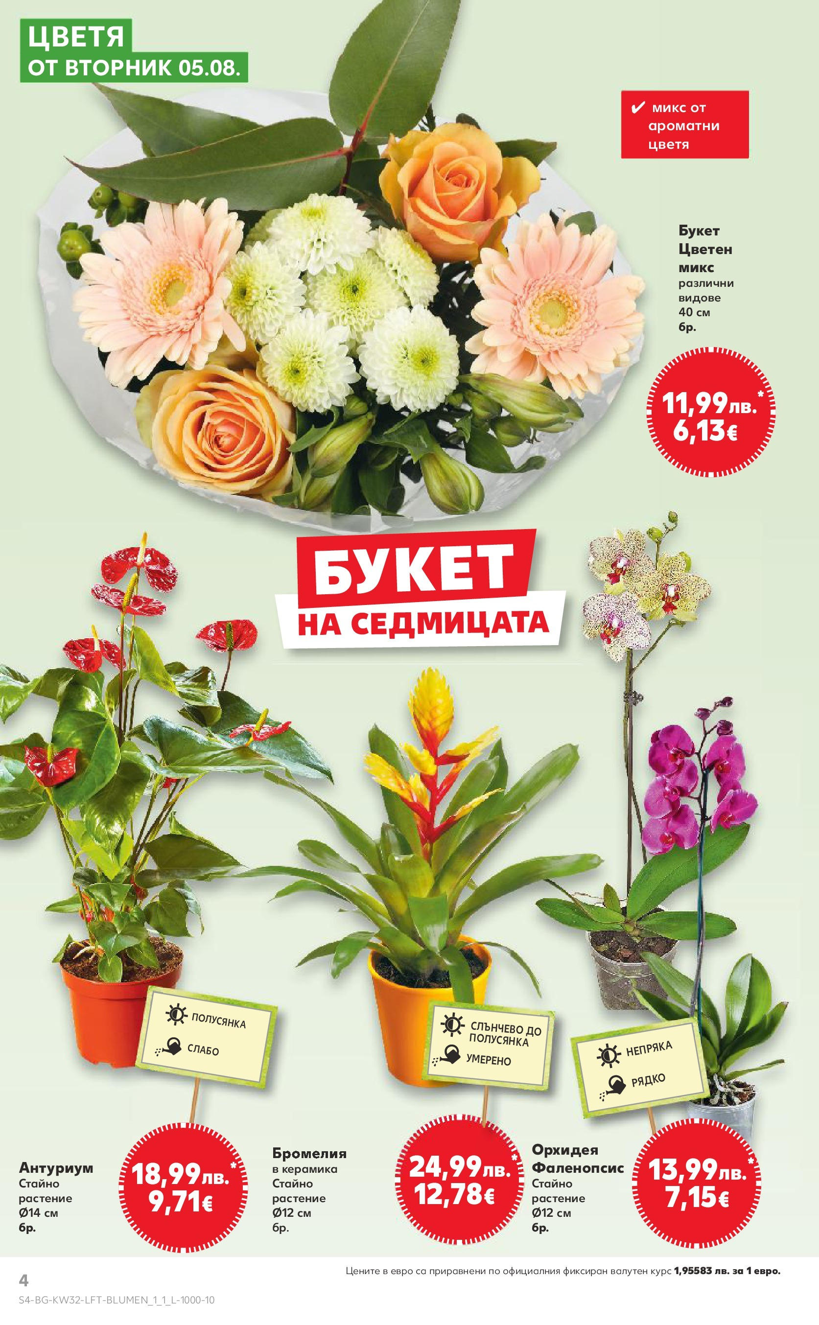 Нова Кауфланд брошура от 04.08.2025 | Страница: 4 | Продукти: Орхидея Нова Кауфланд брошура София от 04.08.2025 | Страница: 4 | Продукти: Орхидея