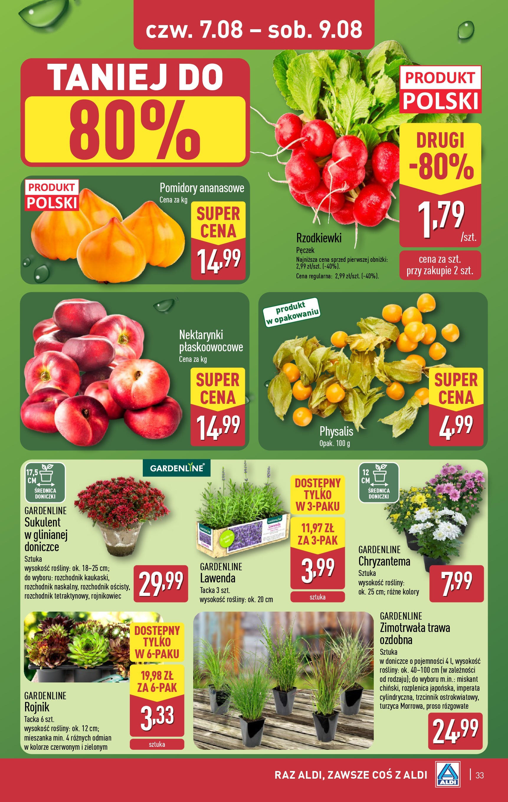 Aldi Gazetka od 04.08.2025 | Nowa PDF gazetka | Strona: 33 | Produkty: Rosliny, Doniczki, Pomidory Aldi Gazetka od 04.08.2025 - Ulotka PDF, promocje | Strona: 33 | Produkty: Rosliny, Doniczki, Pomidory