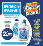 Splendidi e Splendenti Grandi marchi - al 12.08.2025