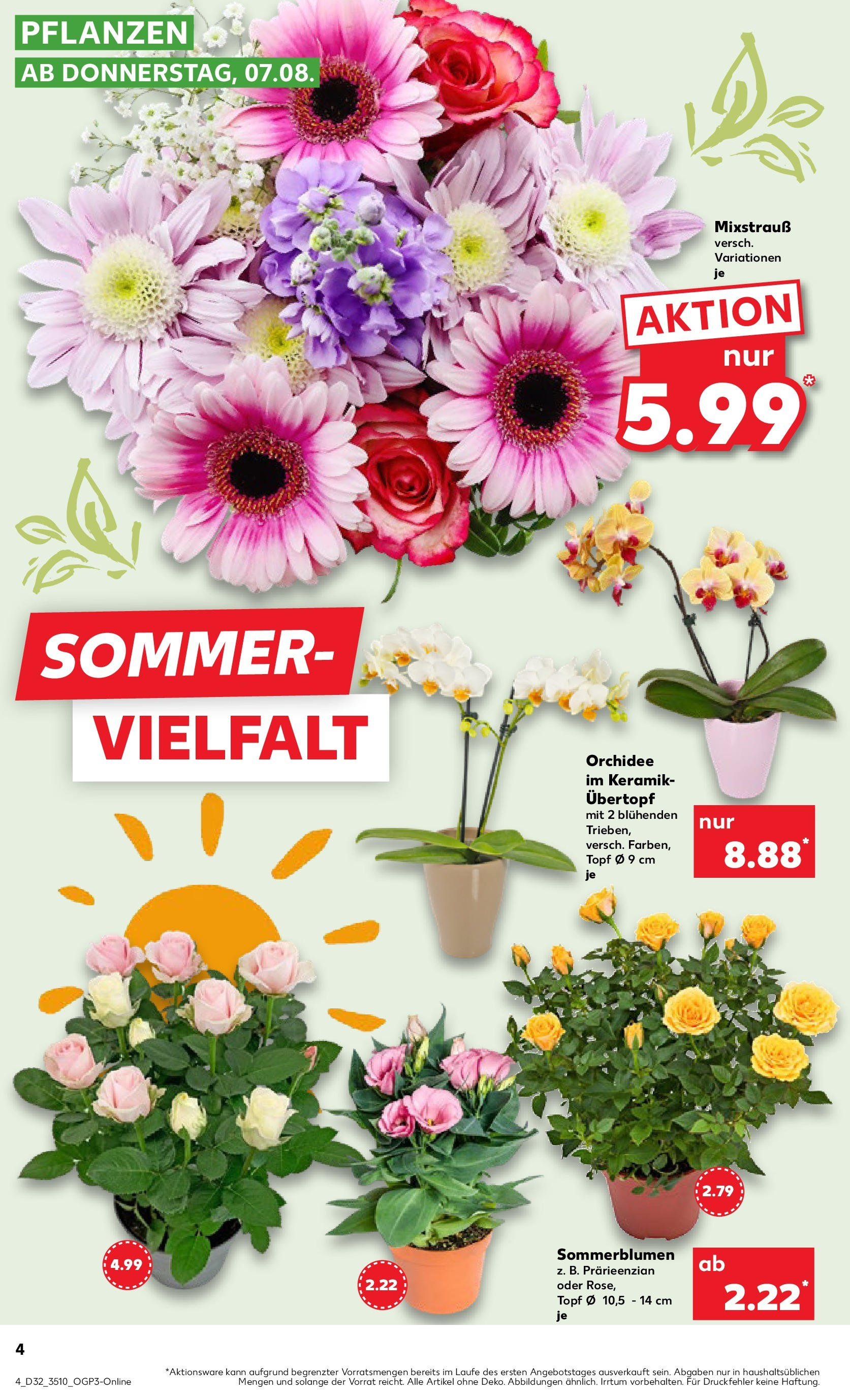 Prospekt Kaufland ab 07.08.2025 » Angebote Online zum Blättern | Seite: 4 | Produkte: Orchidee