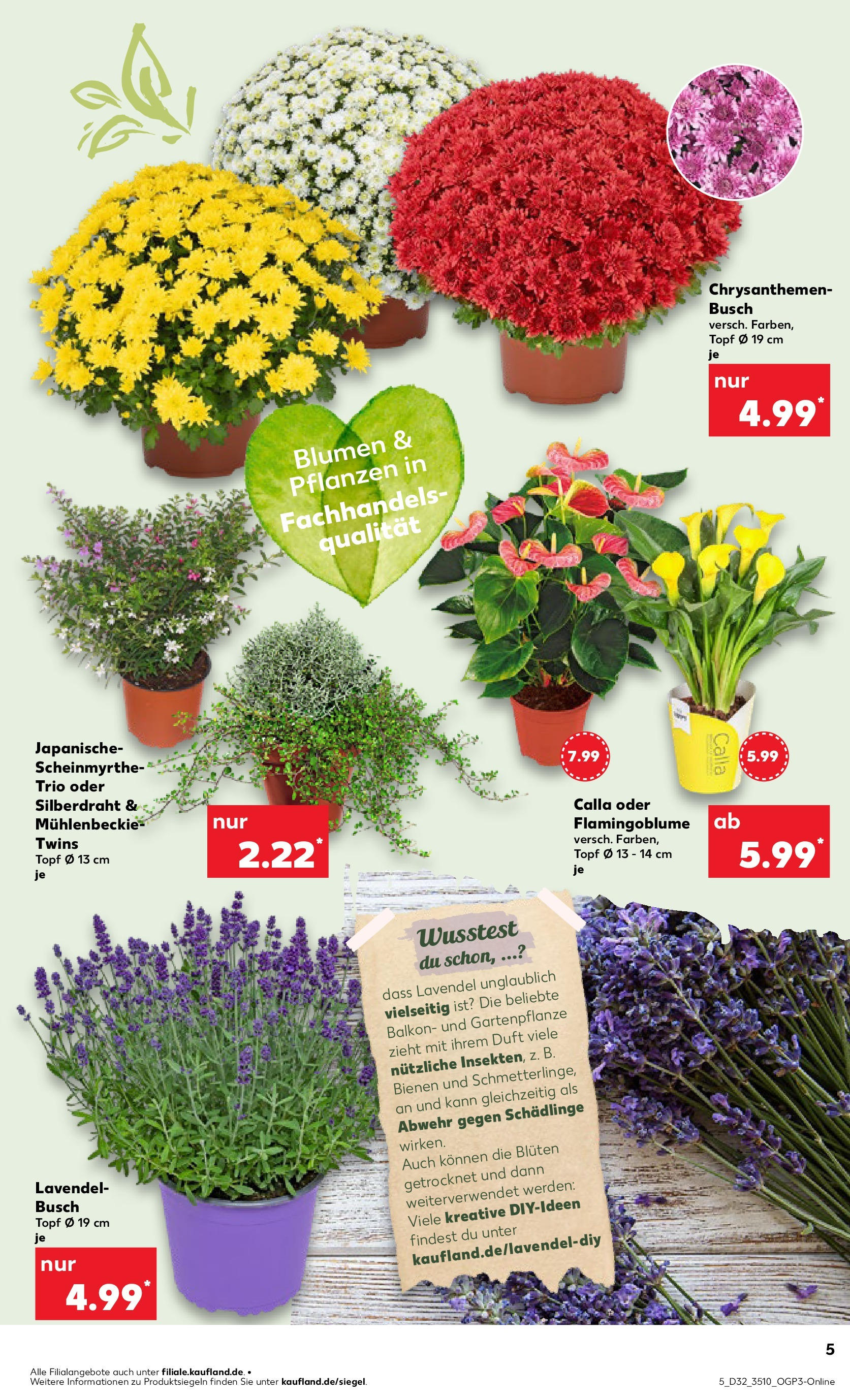 Prospekt Kaufland ab 07.08.2025 » Angebote Online zum Blättern | Seite: 5 | Produkte: Blumen, Duft, Lavendel