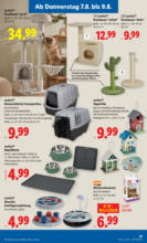 Lidl Lidl: Flugblatt in deiner Nähe - ab 07.08.2025