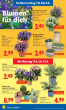 Lidl Lidl: Flugblatt in deiner Nähe - ab 07.08.2025