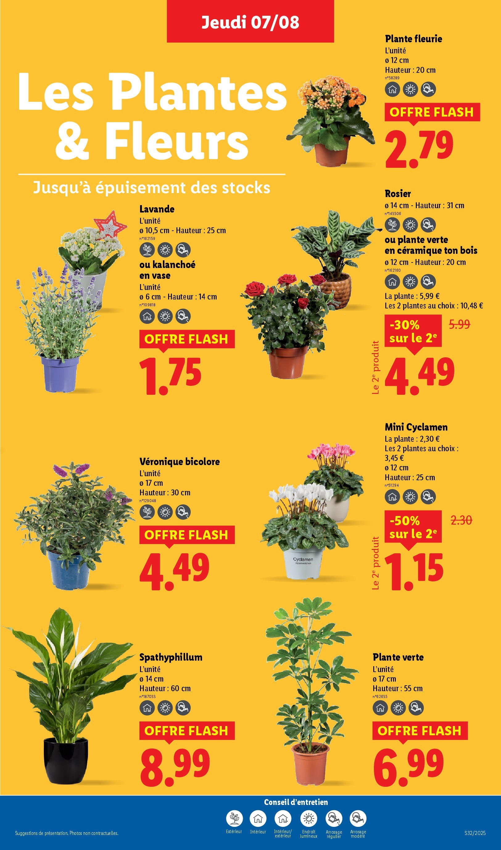 Catalogue LIDL du 06/08/2025 | Promo prospectus en ligne | Page: 29 | Produits: Rosier, Lavande, Plantes, Plante verte Catalogue LIDL du 06/08/2025 | Promo prospectus en ligne | Page: 29 | Produits: Rosier, Lavande, Plantes, Plante verte