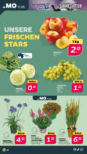 Netto APS : Wochenangebote