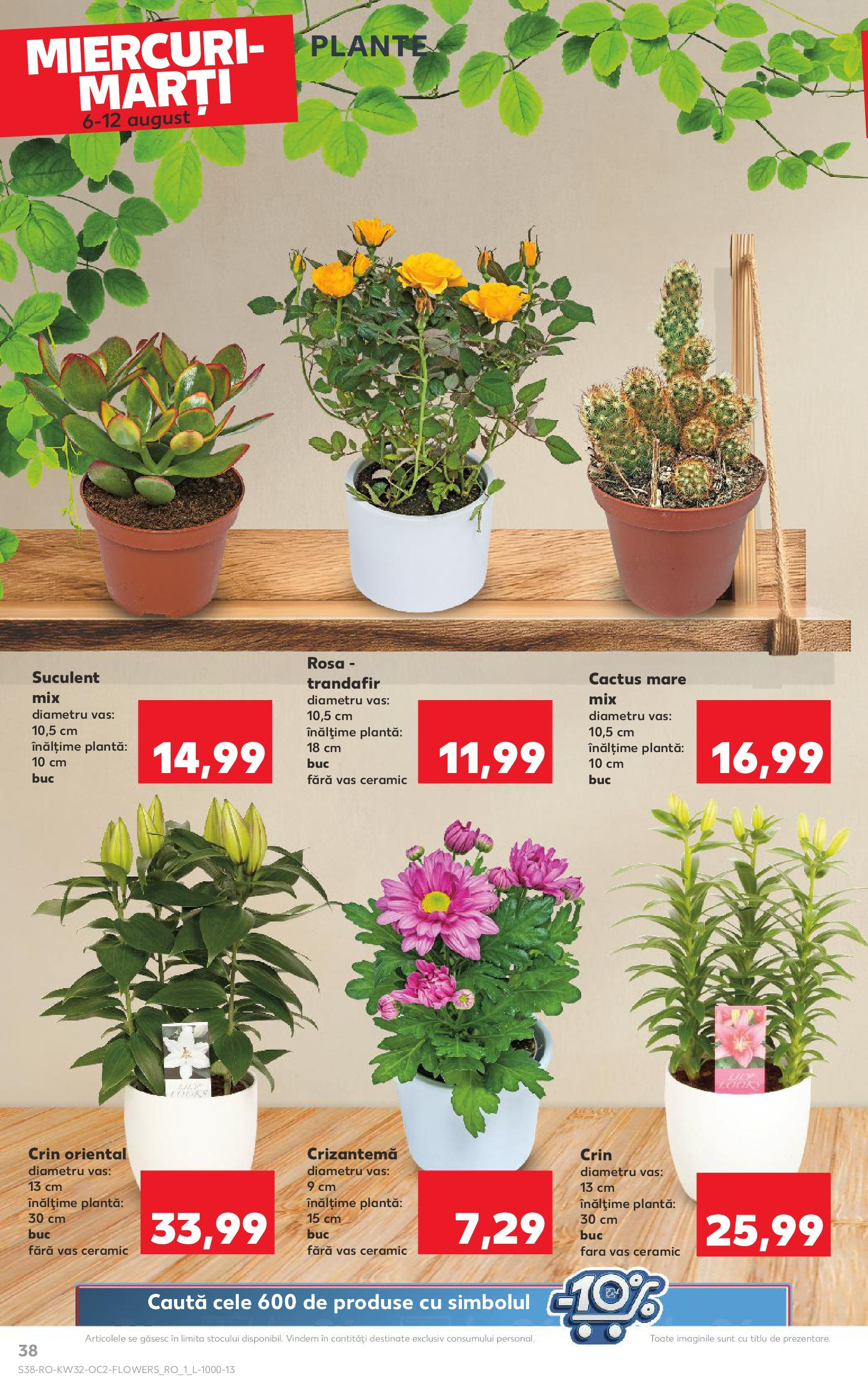 Catalog Kaufland - Sfântu Gheorghe 06.08.2025 - Revista si Oferta | Pagină: 38 | Produse: Trandafir
