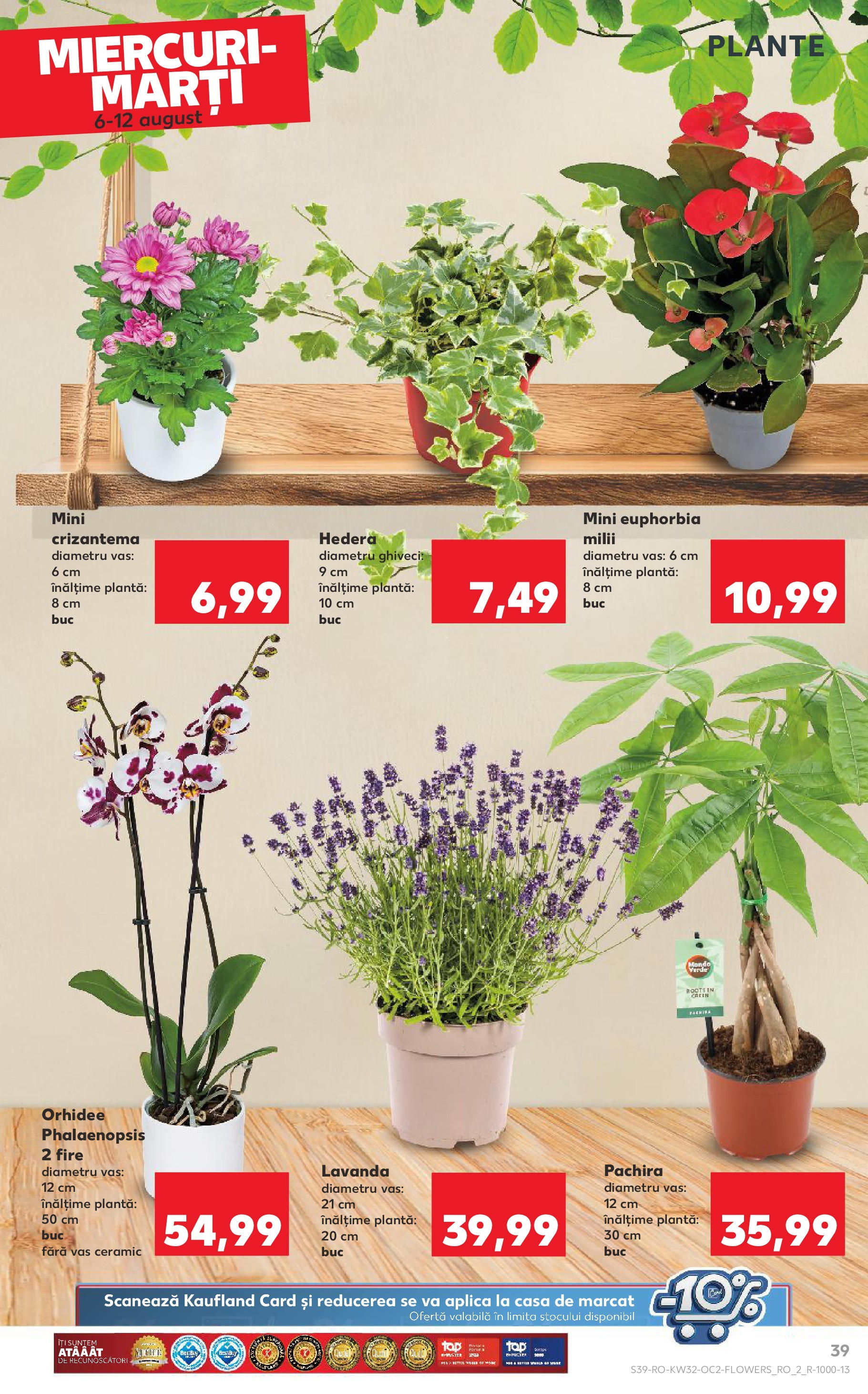 Catalog Kaufland - Sfântu Gheorghe 06.08.2025 - Revista si Oferta | Pagină: 39 | Produse: Orhidee, Ghiveci