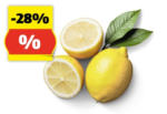 HOFER HOFER MARKTPLATZ BIO Zitronen, 500 g