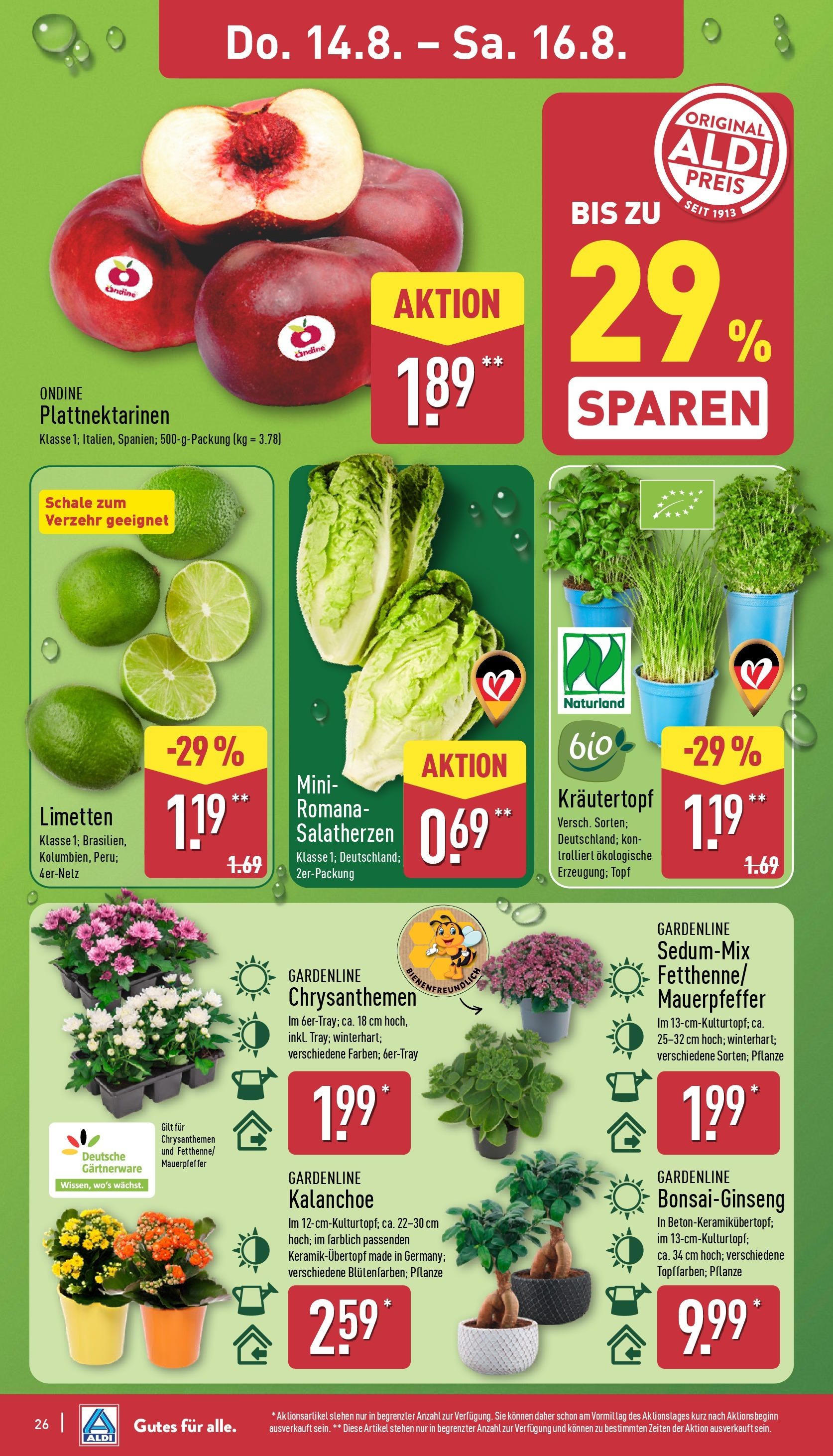 Aldi Prospekt 	 (ab 11.08.2025) » Angebote Online | Seite: 26 | Produkte: Limetten