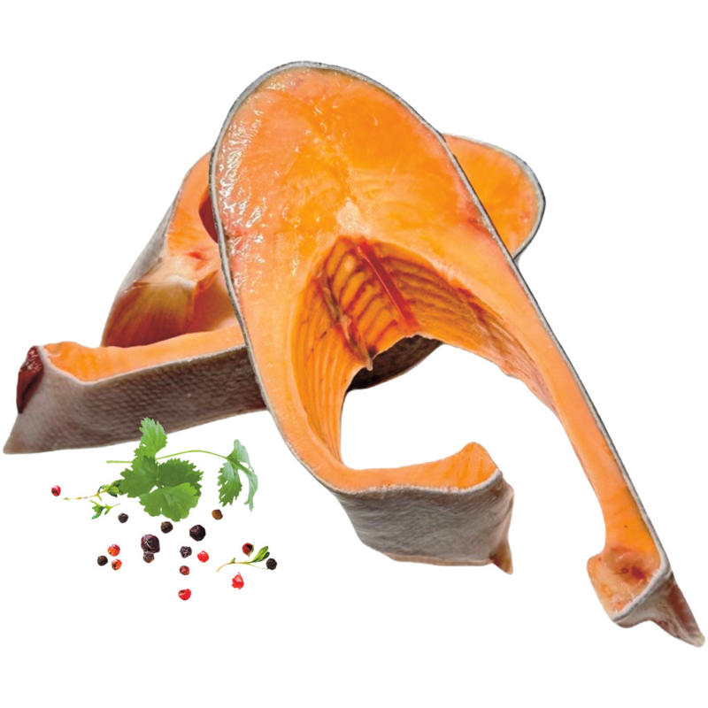Lachsforellen Steak (Onkorhynchus Mykiss)