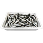 Mix Markt Sardinen (Sardina pilchardus) - bis 09.08.2025