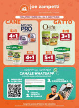 Dal 4 al 31 Agosto