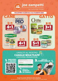 Dal 4 al 31 Agosto