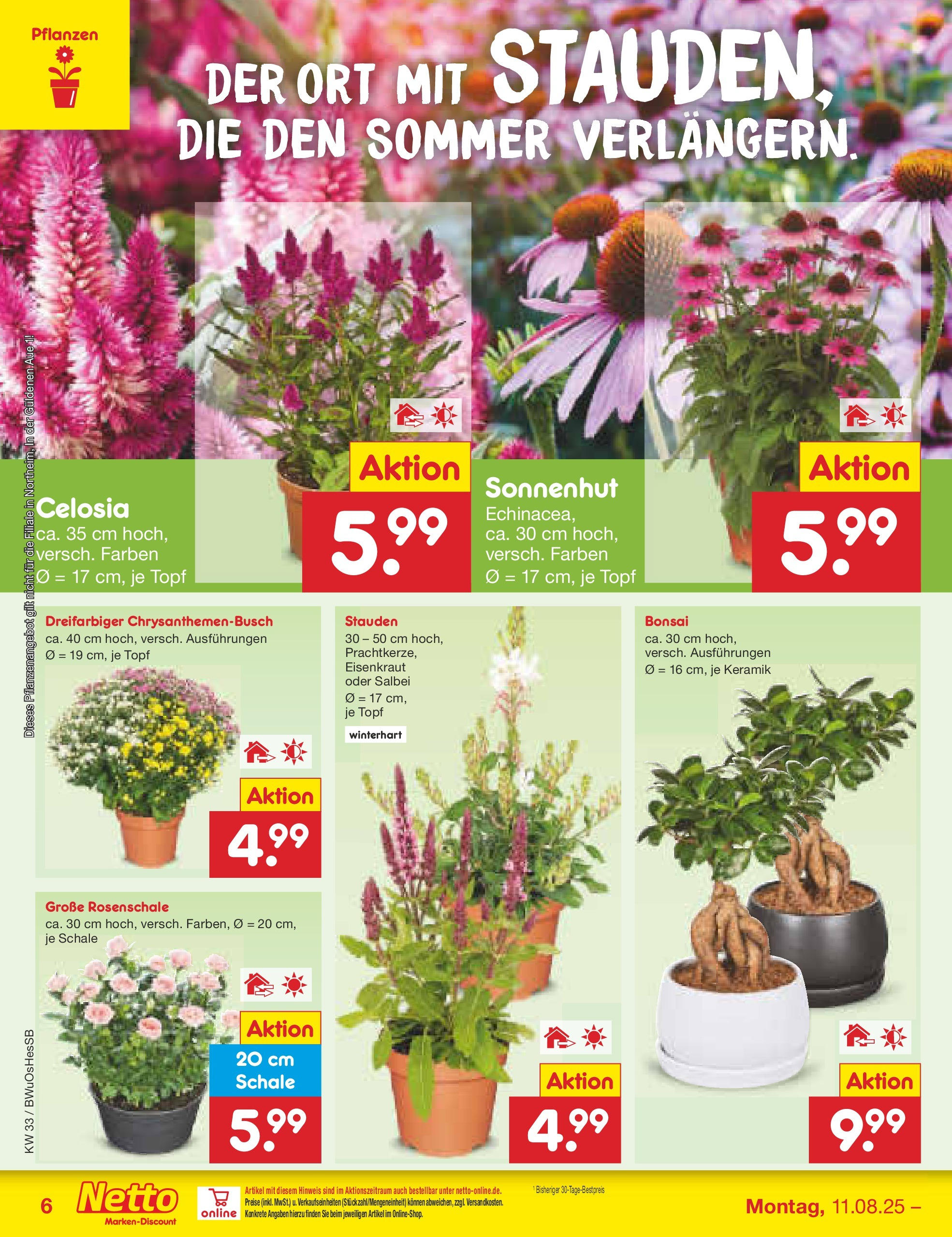 Netto Marken-Discount prospekt Witzenhausen (ab 07.08.2025) » Angebote | Seite: 8 Netto Marken-Discount prospekt Witzenhausen (ab 07.08.2025) » Angebote | Seite: 8