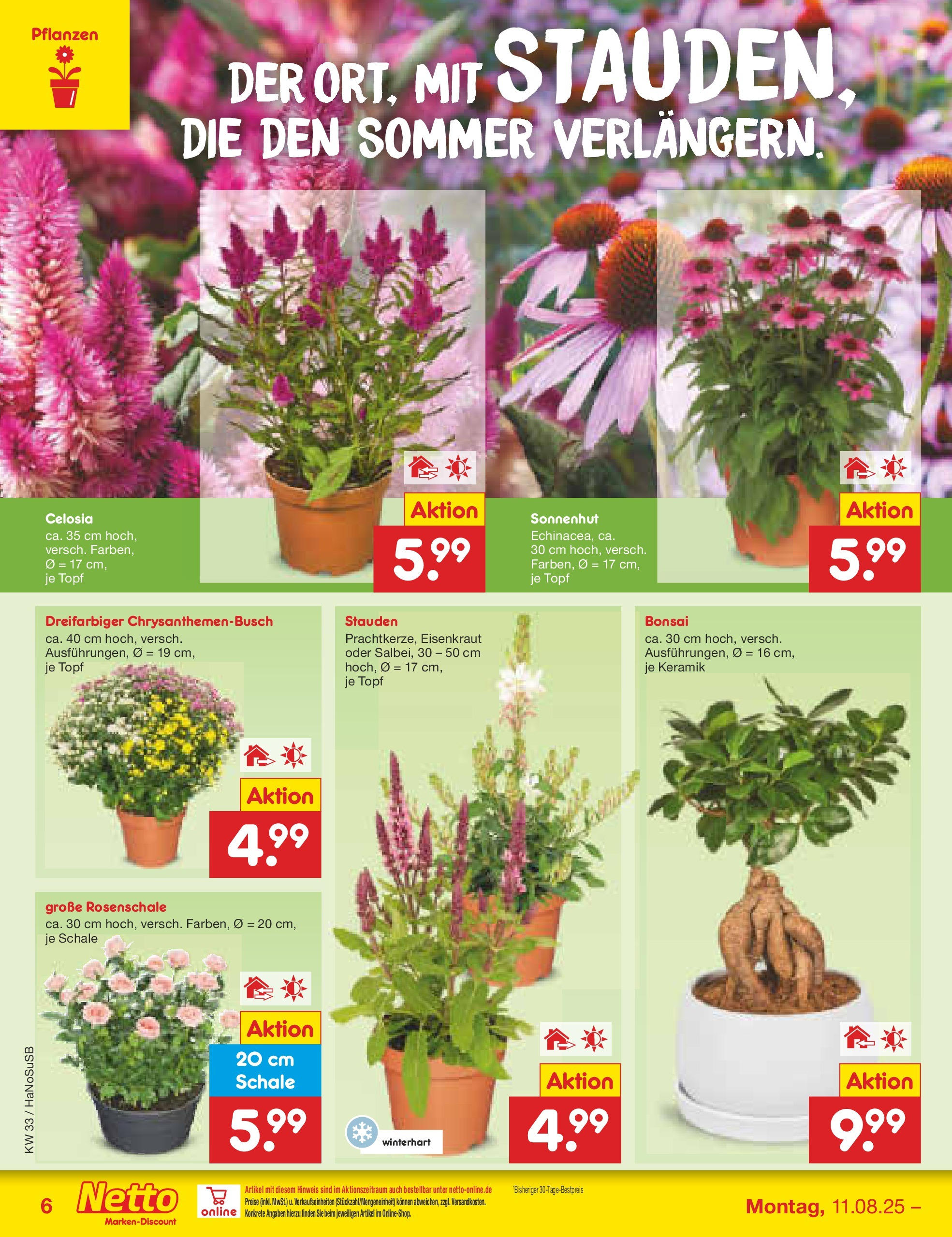 Netto Marken-Discount prospekt Wuppertal (ab 11.08.2025) » Angebote | Seite: 8 Netto Marken-Discount prospekt Wuppertal (ab 11.08.2025) » Angebote | Seite: 8