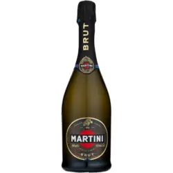 Martini Brut Пенливо вино различни сортове