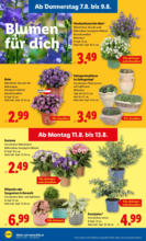 Lidl Lidl: Flugblatt in deiner Nähe - ab 07.08.2025