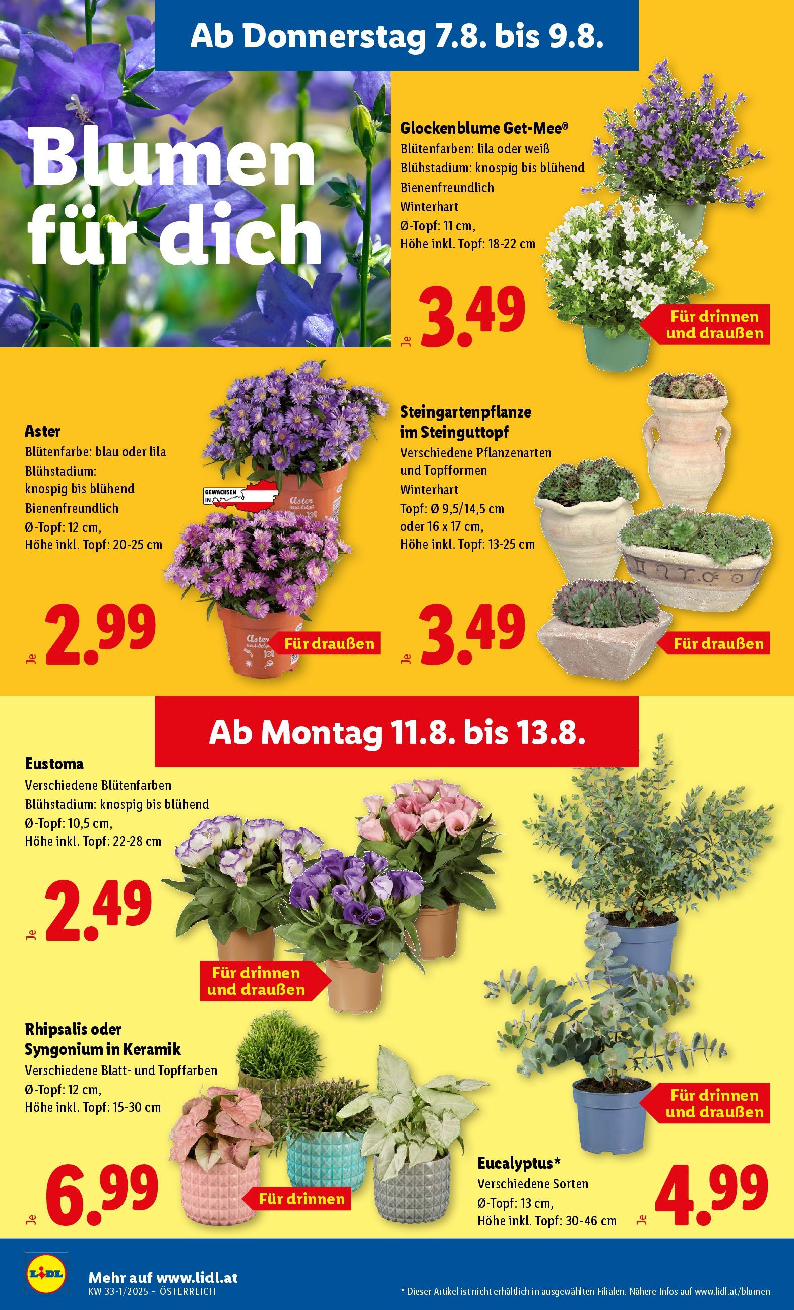 Lidl Flugblatt - Salzburg, Jenbach, Dornbirn ab 07.08.2025 ✳️ Angebote ab donnerstag | Seite: 26 Lidl Flugblatt - Salzburg, Jenbach, Dornbirn ab 07.08.2025 - Angebote ab donnerstag | Seite: 26