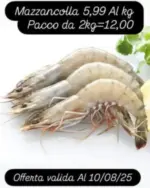 Zerotto Surgelati Offerte valide al 10/08/2025 - al 10.08.2025