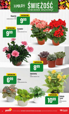 Pogląd gazetki "Gazetka" ze sklepu POLOmarket ważnej od 06.08.2025 | Strona: 8