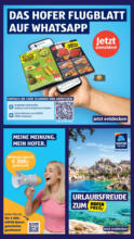 HOFER HOFER: Flugblatt - ab 08.08.2025