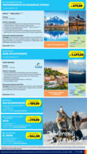 HOFER HOFER: Flugblatt - ab 08.08.2025