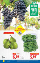 Catalog Lidl până în data de 17.08.2025