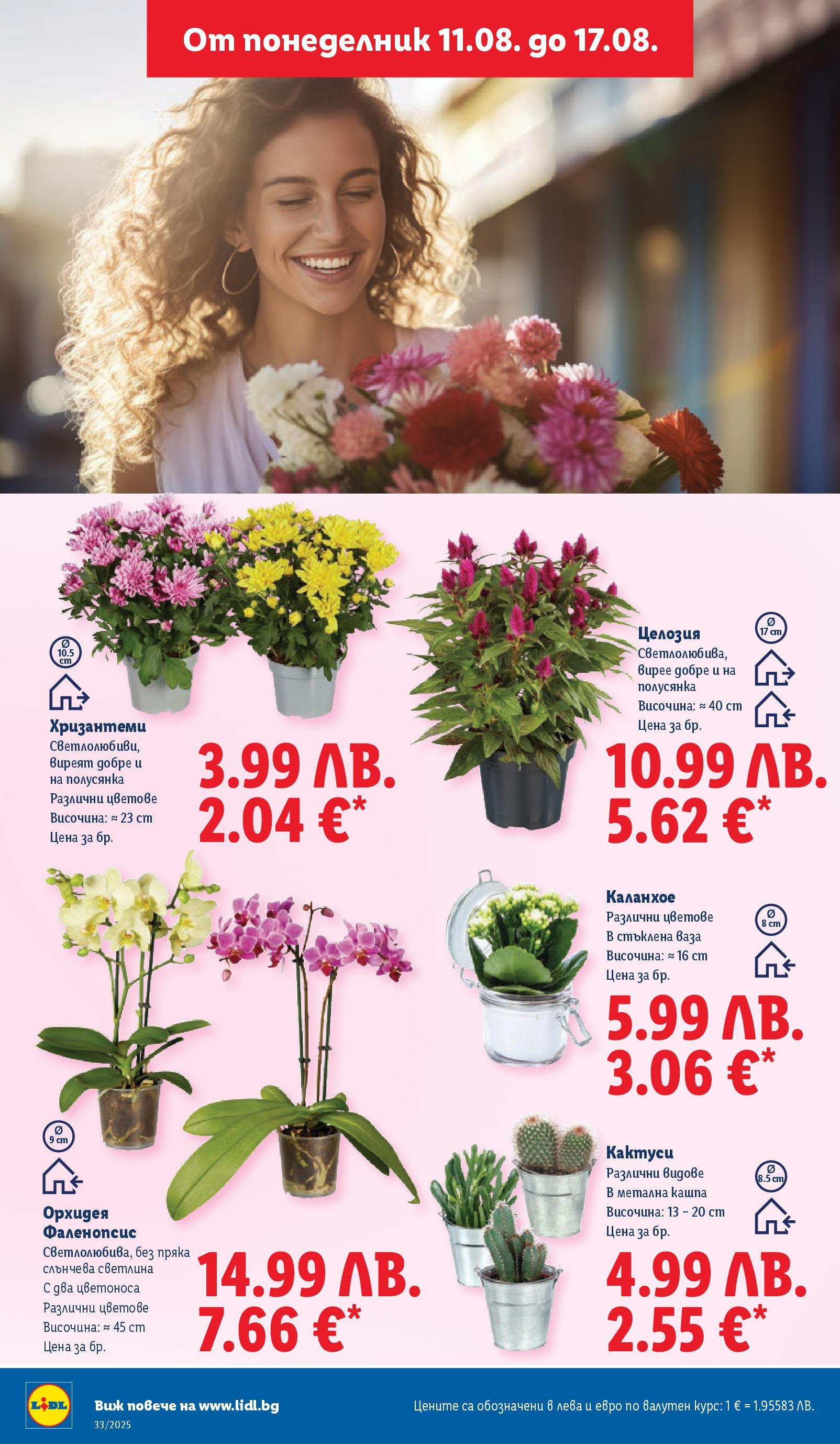 Cедмична брошура на Лидл от 11.08.2025 - LIDL broshura | Страница: 46 | Продукти: Орхидея, Ваза Cедмична брошура на Лидл от 11.08.2025 | Страница: 46 | Продукти: Орхидея, Ваза