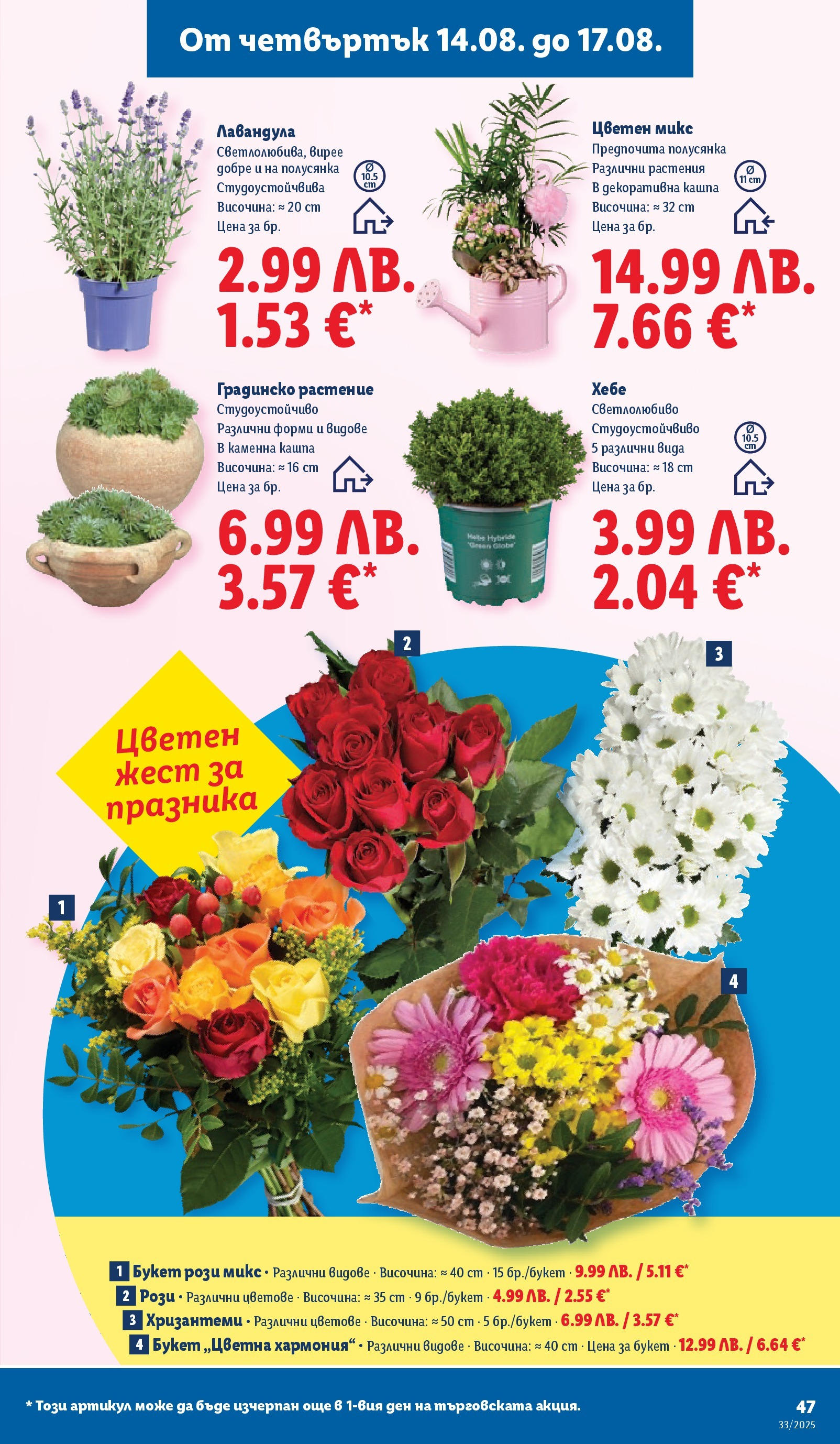 Cедмична брошура на Лидл от 11.08.2025 - LIDL broshura | Страница: 47 | Продукти: Кашпа Cедмична брошура на Лидл от 11.08.2025 | Страница: 47 | Продукти: Кашпа