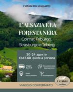 I viaggi del cavallino L'alsazia e la foresta nera - al 24.08.2025