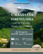 I viaggi del cavallino L'alsazia e la foresta nera - al 24.08.2025