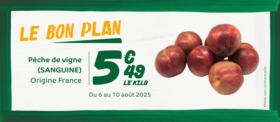 Le Bon Plan