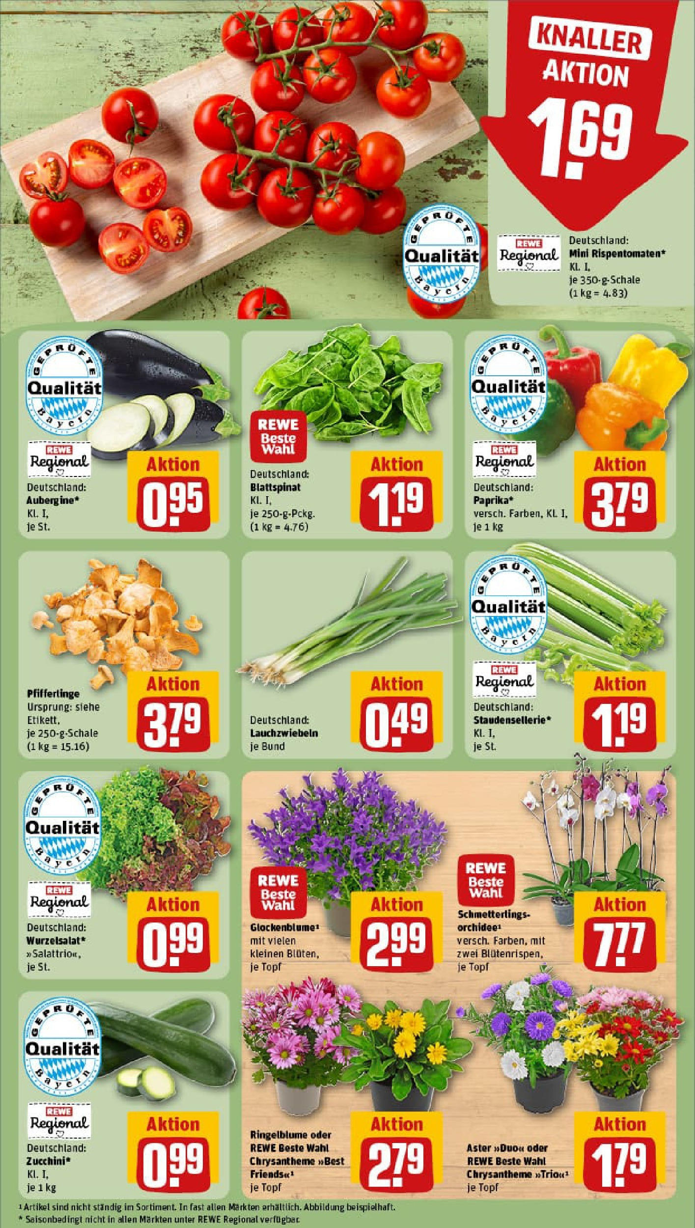 REWE Prospekt ab 11.08.2025 zum Blättern » Angebote | Seite: 7 | Produkte: Paprika, Pfifferlinge, Zucchini