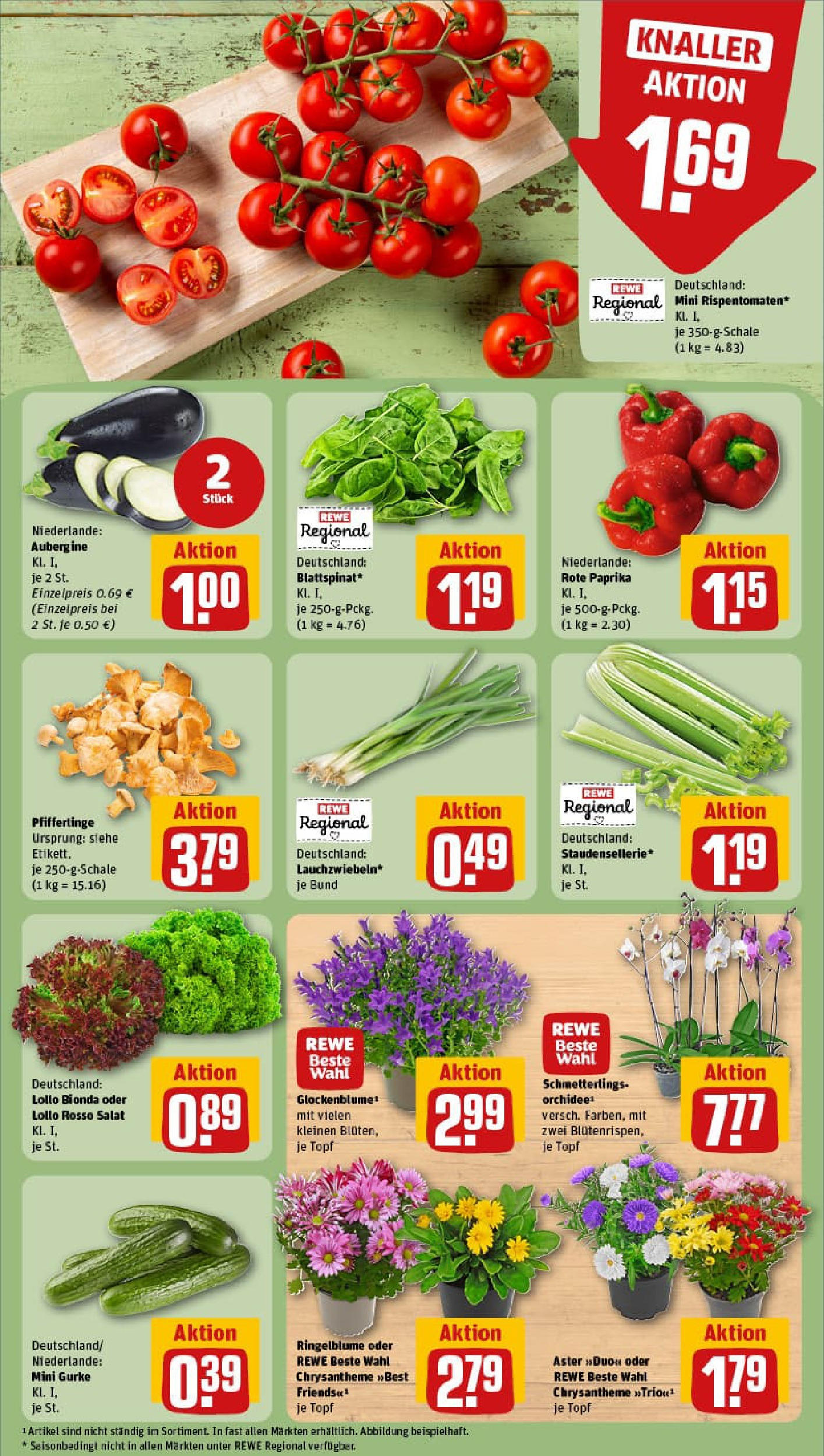 REWE Prospekt ab 11.08.2025 zum Blättern » Angebote | Seite: 7 | Produkte: Paprika, Aubergine, Pfifferlinge, Salat REWE Prospekt ab 11.08.2025 zum Blättern » Angebote | Seite: 7 | Produkte: Paprika, Aubergine, Pfifferlinge, Salat