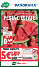 Panorama Festa D'estate - al 20.08.2025