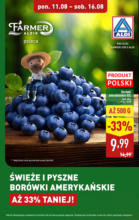 Aldi ulotka do 16.08 Aldi – do 16.08.2025