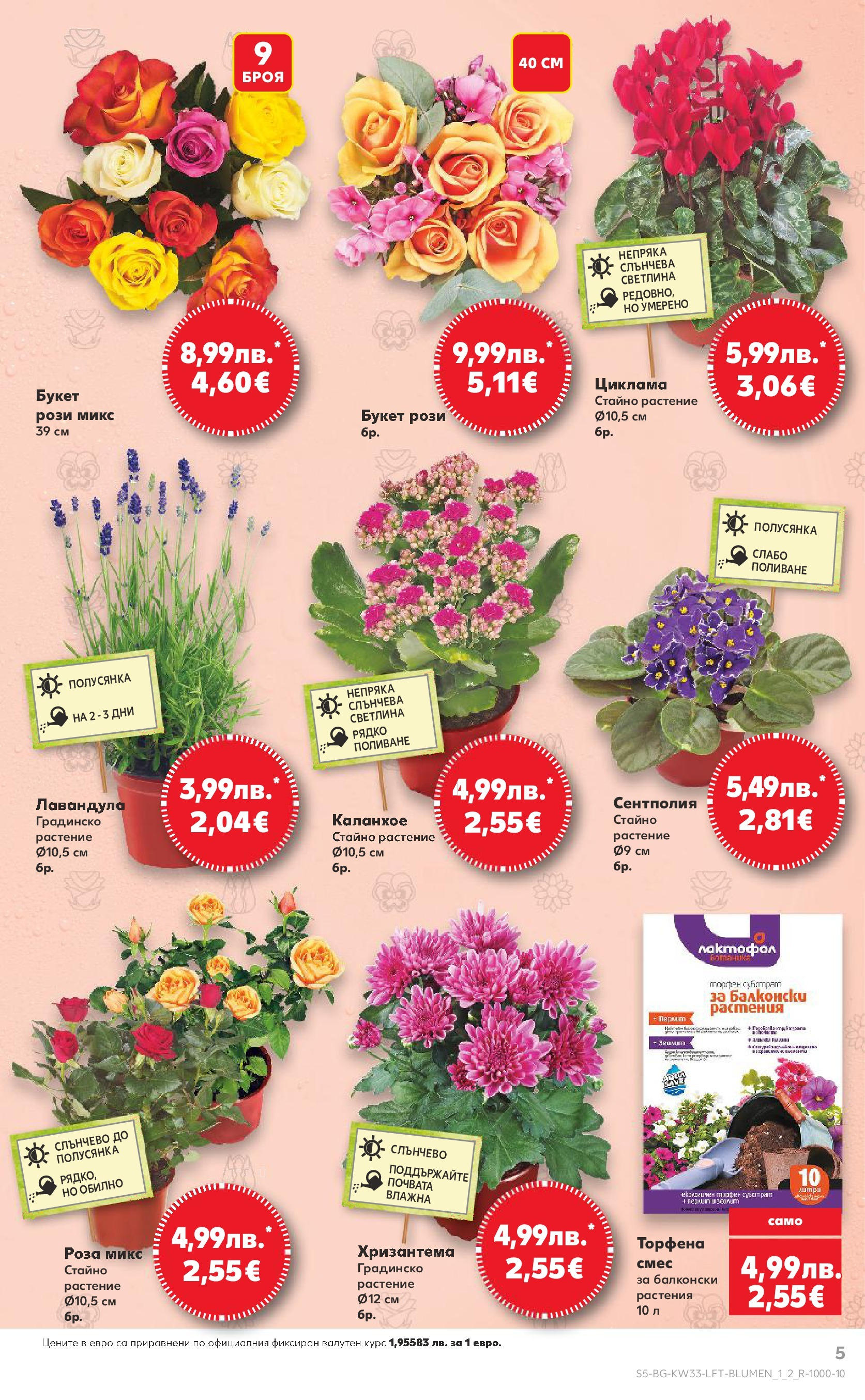 Нова Кауфланд брошура от 10.08.2025 | Страница: 5 | Продукти: Хризантема, Роза Нова Кауфланд - Режем цените с 50% с предложения в Kaufland с валидност до 17.08.2025 от 10.08.2025 | Страница: 5 | Продукти: Хризантема, Роза